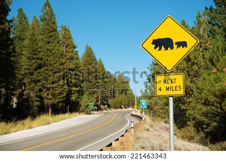 Watch For Bears Yellow Caution Street Sign in Sierra Nevada Mountains in California, USA.