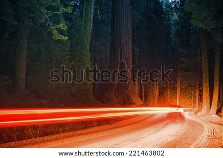Giant Sequoia Forest Traffic at Night. Car Lights in a Motion Blur. Sequoia National Park, California, USA.