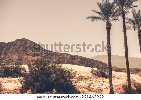 Palm Desert California Area. Palm Trees, Desert Sand Dunes and the Mountain. Southern California, United States