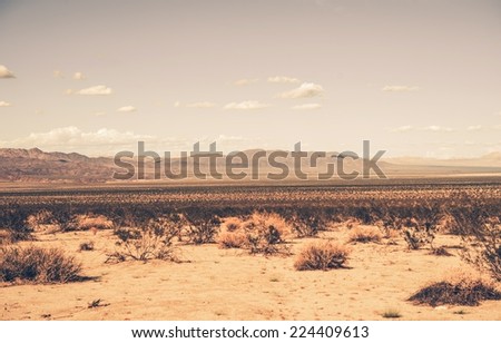 Southern California Desert. Sandy American Desert Landscape