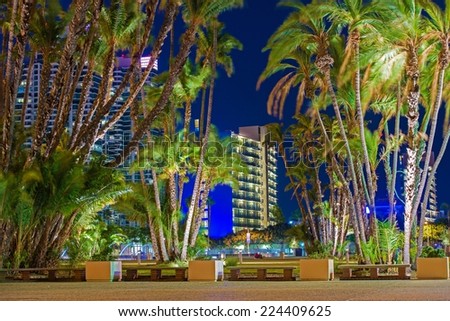San Diego City Palm Trees. Downtown San Diego at Night. California, USA