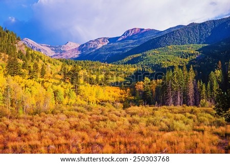 Scenic Aspen Lanscape. Colorado Rocky Mountains. Aspen, Colorado, United States.