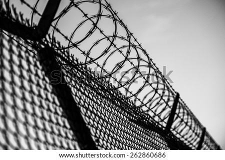 Prison Fence in Black and White. Barbed Wire Fence Closeup.