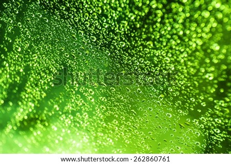 Green Water Beads Background. Wet Glass Photo Background.