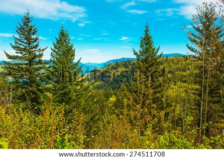 Green Oregon Landscape. Columbia River Gorge Vista. Oregon, United States.