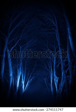 Spooky Old Trees Park Alley at Night in Dark Blue Color Grading.