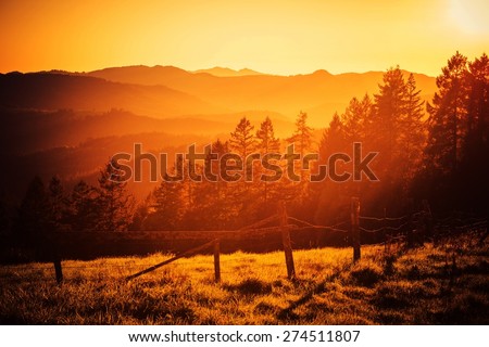 California Hills Sunset. Beautiful Scenic Sunset in Northern California Redwood Hills.