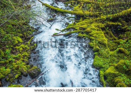 Small Oregon Mountain River in Columbia Gorge Region. Mossy Oregon Creek. United States.