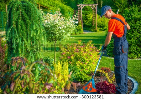 Raking in the Garden. Gardener with Rake at Work. Backyard Garden Summer Clean Up.