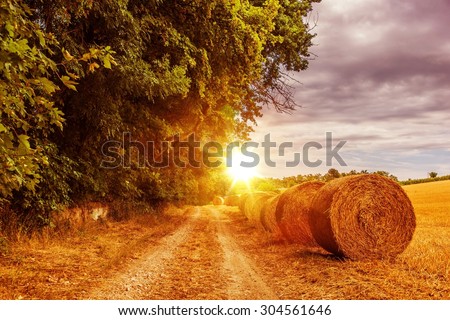 Sunny Countryside Road in July. Austria, Europe Countryside Road with Hay Bales