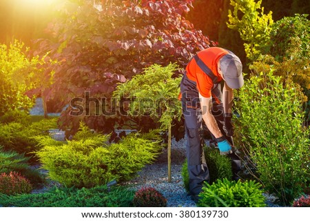 Gardener Garden Works. Caucasian Gardener at Work. Beautiful Summer Day in the Garden