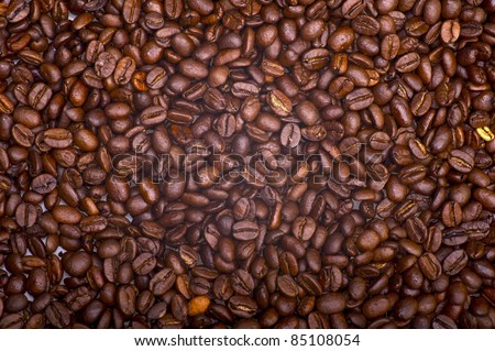 Coffee Beans Background. Fresh Coffee Beans. Coffee Plantation.
