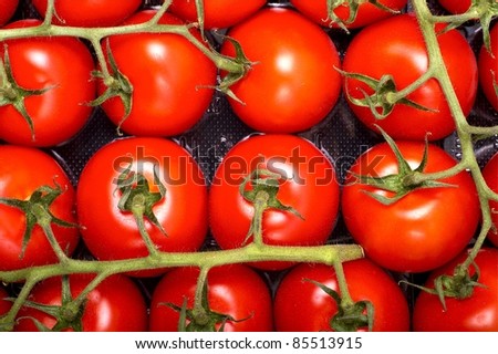 Tomatoes Package. Fresh Tomatoes Package in Grocery Store. Vegetables Stock Photo