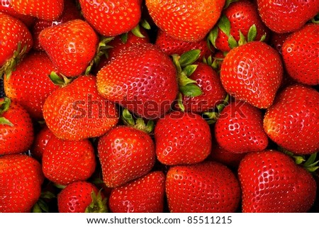 Fresh and Juicy Strawberry Background. Fresh Strawberries from Strawberries Plantation Horizontal Photo. Fruits Photo Collection.