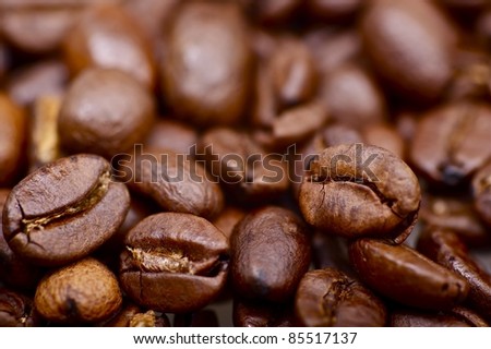 Coffee Beans Macro Photo. Fresh Coffee Beans Close Out.