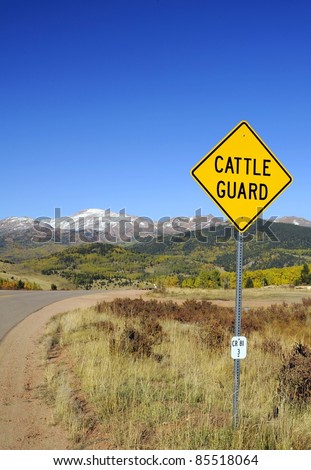 Cattle Guard Road Sign - Cattle Grid Known as a Vehicle Pass, Texas Gate - Colorado Landscape