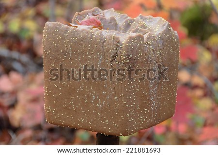 close up of a licking salt block  hanging on a stick in the woods, used by hunter to attract deer, Quebec, Canada