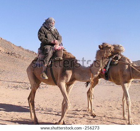 Camel talk to grandfather - \
