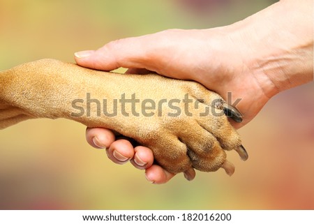 Dog paw and female hand doing handshake