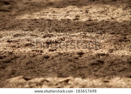 Sand and sawdust in indoor riding arena