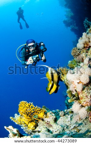 Diver with camera along the reef, underwater photographer, Red Sea