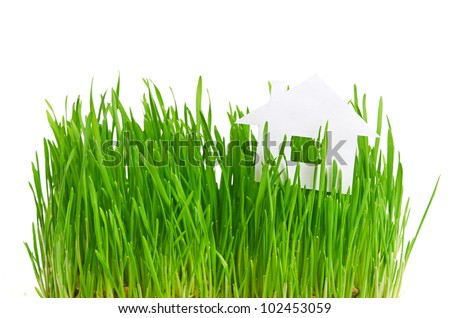 grass research paper