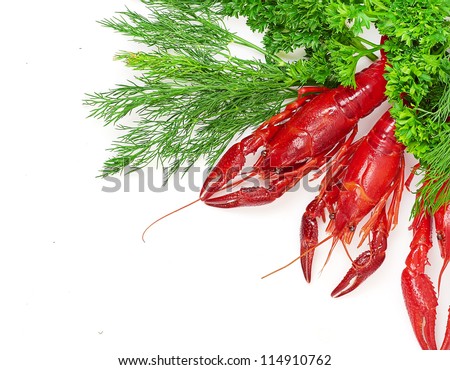 Boiled crayfish with dill isolated on a white background