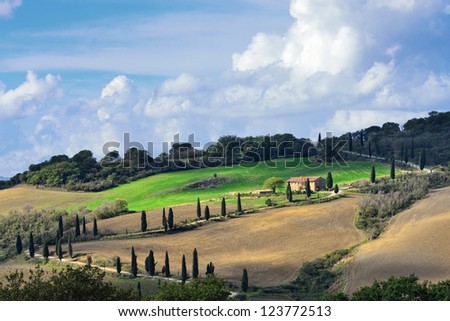 Idyllic rural Tuscan landscape near Pienza, Vall d'Orcia, Italy, Europe. Dirt road and cypress
