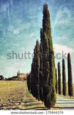 Idyllic Tuscan landscape with dirt road and cypress near Pienza, Vall d\'Orcia Italy, Europe. Filtered