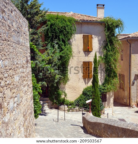 House covered with green wild grapes in beautiful medieval village of Le Barroux
