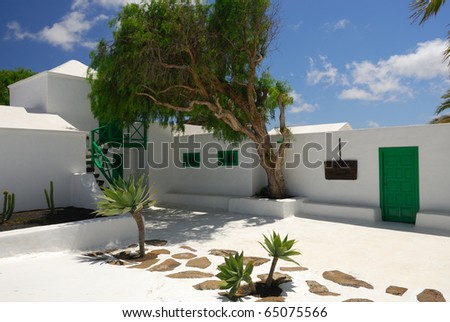 The courtyard in the spanish villa with a green tree
