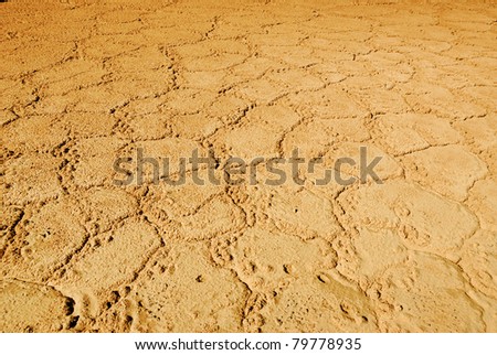 Cracked earth background. Dry and cracked soil into the dry season
