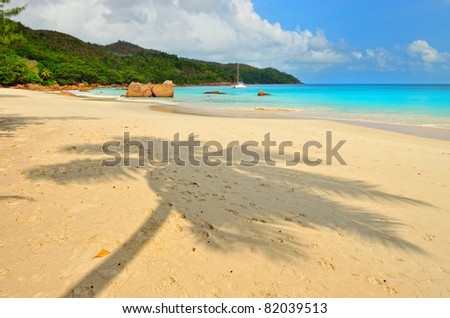 Shadow of the palm tree on the sand beach on Seychelles islands - Praslin, Anse Lazio