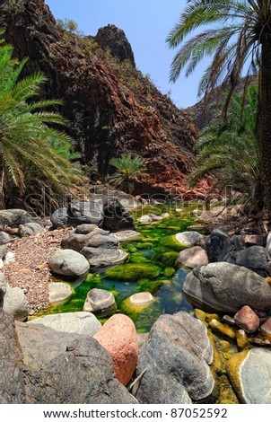 Mountain river amongst rocks on background of the mountains and palms tree, Socotra, Yemen