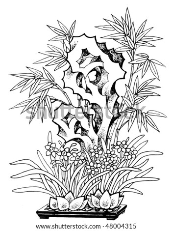 garden plant tattoo vector
