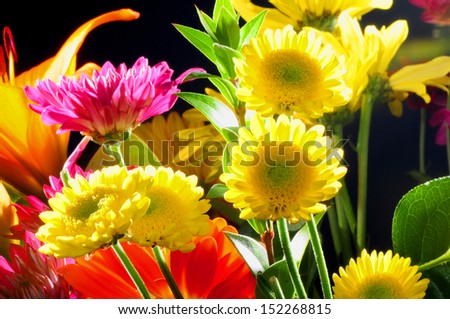 Floral arrangement isolated over a black background