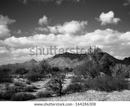 Black and white image of the central Arizsona desert