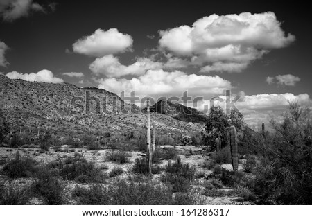 Black and white of the central Arizona desert