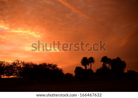 Arizona sunset with brilliant colorful clouds and silhouette trees