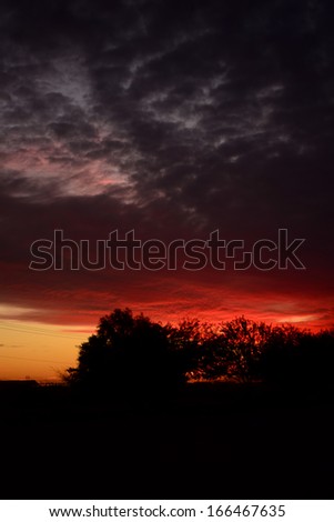 Arizona sunset with brilliant colorful clouds and silhouette trees