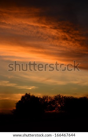 Arizona sunset with brilliant colorful skies and silhouette trees