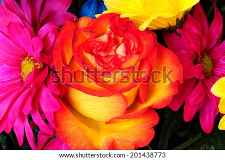 Floral arrangement isolated over a black background