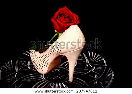 Female Shoe and rose isolate over black on crystal
