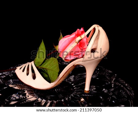 Woman\'s\'s Shoe and rose isolate over black on crystal