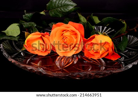 Rose Floral arrangement isolated over a black background