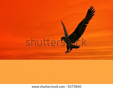 Eagle landing in the desert