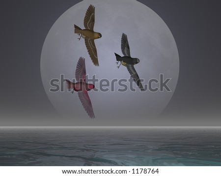 Three illustrated birds flying in front of the moon