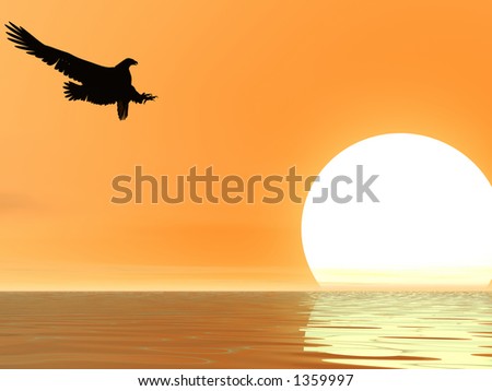Eagle descending in a peach sunset