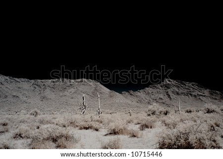 Moonlight Saguaro cactus in the winter Arizona desert mountains