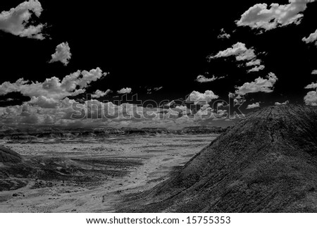 Petrified forest Arizona alien desert black and white landscape